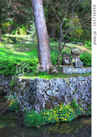 桜の津金寺 信州の神社仏閣 麗しき神社仏閣 いにしえの神社仏閣 桜の津金寺 信州の神社仏閣 麗しき神社仏閣 いにしえの神社仏閣 101730959
