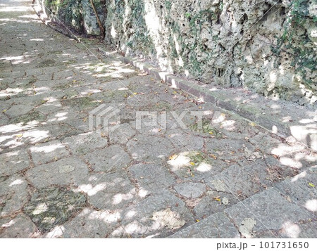 首里金城町石畳道7　沖縄 101731650