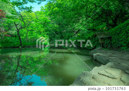 東京の公園の池と空 東京の公園の池と空 101731763
