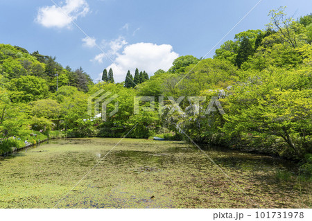 新緑に包まれた池のある公園 新緑に包まれた池のある公園 101731978