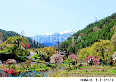 花で彩られる里山　　　ハナモモの花　　　花と植物が織りなす色紙 101732414