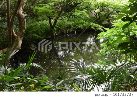関口芭蕉庵、庭園、東京文京区 101732737