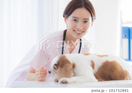 医療　犬の診察をする獣医 101732891