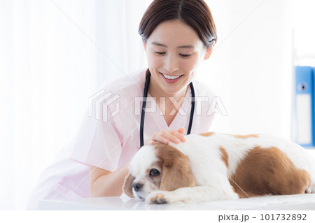 医療　犬の診察をする獣医 101732892