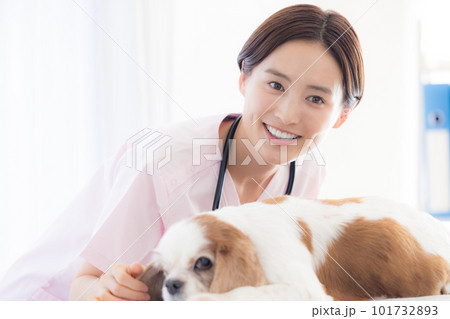 医療 犬の診察をする獣医 医療 犬の診察をする獣医 101732893