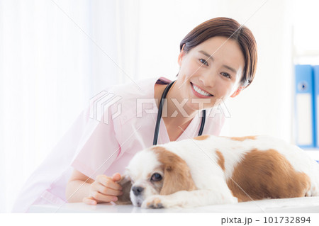 医療 犬の診察をする獣医 医療 犬の診察をする獣医 101732894