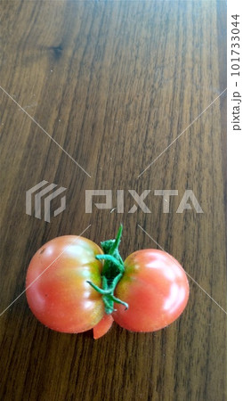 木のテーブルの上の赤い双子トマト 101733044