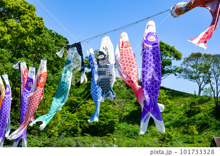 風に舞う鯉のぼり 101733328