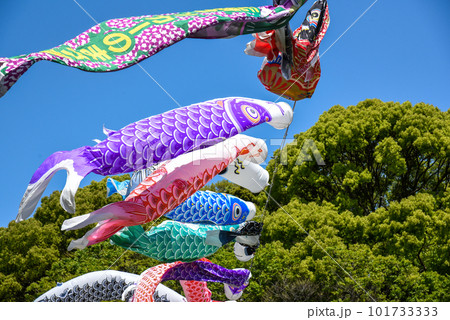 風に舞う鯉のぼり 101733333