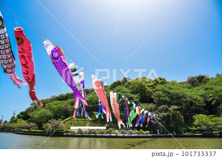 風に舞う鯉のぼり 101733337