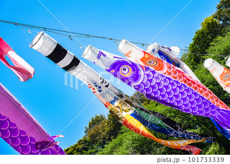 風に舞う鯉のぼり 101733339