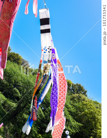 風に舞う鯉のぼり 101733341