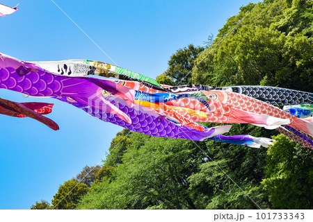 風に舞う鯉のぼり 101733343