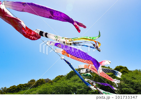風に舞う鯉のぼり 101733347