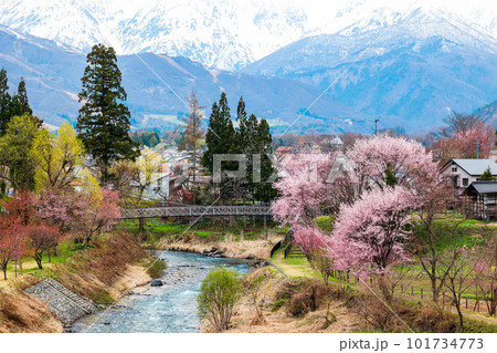 大出公園の吊り橋 101734773