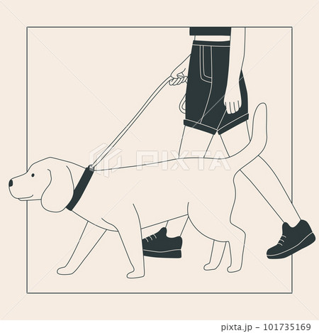 Young woman in shorts with a big dog on a leash. Cute labrador on a walk. Dog show or dog walking in the city or in the park. Vector flat contour graphics. Young woman in shorts with a big dog on a leash. Cute labrador on a walk. Dog show or dog walking in the city or in the park. Vector flat contour graphics. 101735169