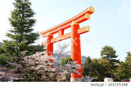 平安神宮 大鳥居 鳥居 平安神宮大鳥居 朱塗り 平安神宮 大鳥居 鳥居 平安神宮大鳥居 朱塗り 101735188