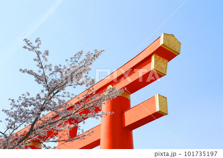 平安神宮 大鳥居 鳥居 平安神宮大鳥居 朱塗り 平安神宮 大鳥居 鳥居 平安神宮大鳥居 朱塗り 101735197