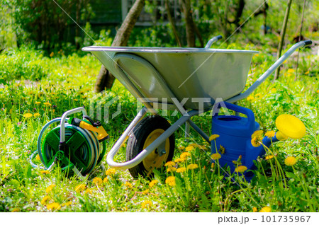 Garden accessories with yellow elements: a wheelbarrow, a hose on a spool and a watering can on the green grass with dandelions. Garden accessories with yellow elements: a wheelbarrow, a hose on a spool and a watering can on the green grass with dandelions. 101735967