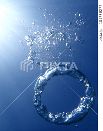 上へ上へ 上へ上へ 101736272