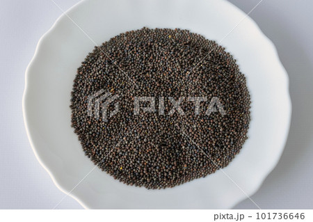 Broccoli seeds for sprouting in a white plate 101736646