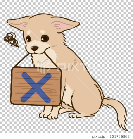 帶十字架的吉娃娃（光滑的外套，奶油色） 101736862