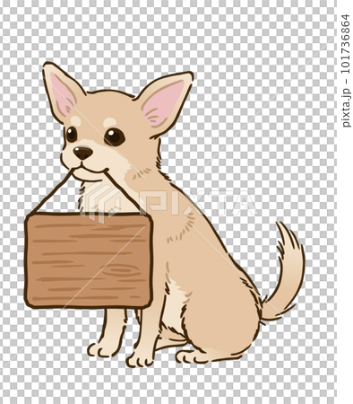 吉娃娃舉著牌子（光滑的外套，奶油） 101736864