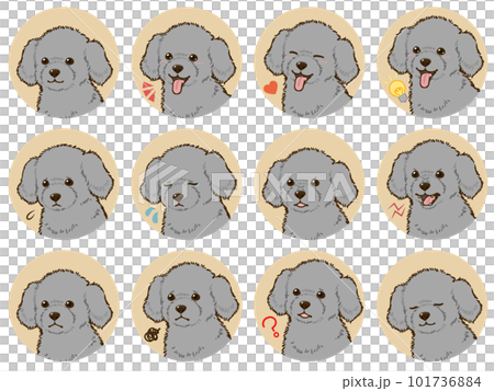 Toy poodle facial expression icon set (silver) 101736884