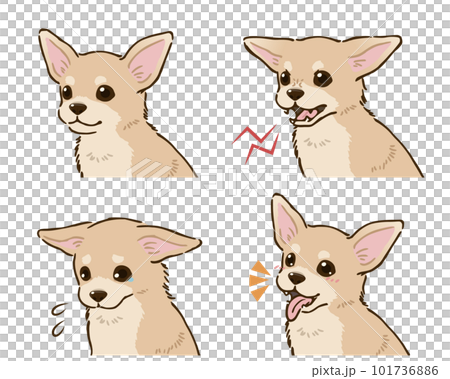 Chihuahua 情緒套裝（光滑的外套，奶油） 101736886