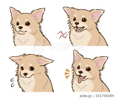 チワワの喜怒哀楽セット（ロングコート、クリーム） 101736894