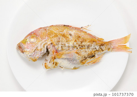 レンコダイの塩焼き 101737370
