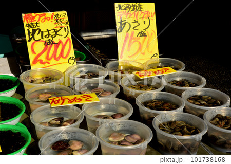 茨城県　那珂湊漁港　市場 101738168