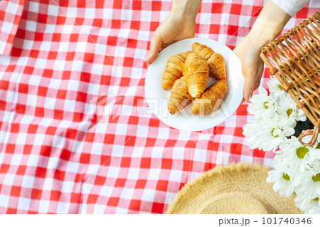 Spending time in nature - picnic, accessories for picnic 101740346