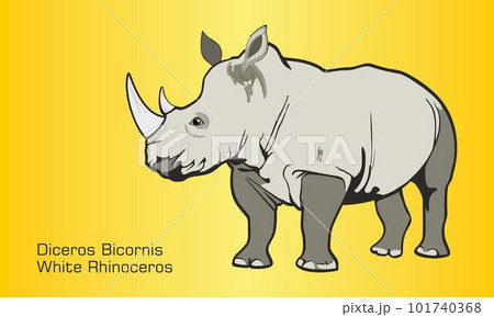The White Rhinoceros 101740368