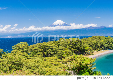 (静岡県)西伊豆戸田 御浜岬と富士山 (静岡県)西伊豆戸田 御浜岬と富士山 101741222