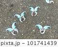 花びらのアート、ヒスイカズラ 101741439