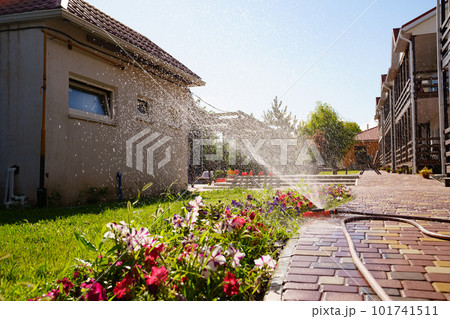 Automatic watering system on the lawn. watering heads and pipes  101741511
