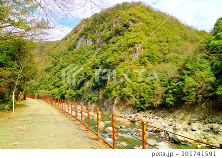 早春の旧福知山線 廃線跡 早春の旧福知山線 廃線跡 101741591