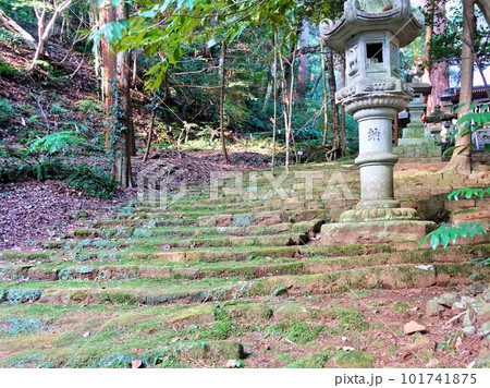 灯篭と苔の石段の参道 灯篭と苔の石段の参道 101741875