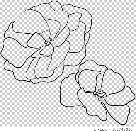 Hand drawn black outline peony flowers, isolated illustration element 101742016