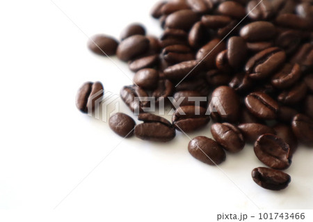 コーヒー豆26 101743466