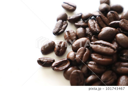 コーヒー豆25 101743467