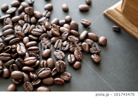 コーヒー豆22 101743470