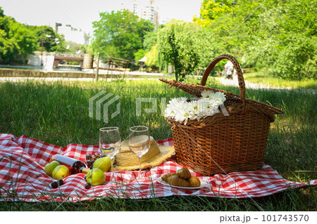 Spending time in nature - picnic, accessories for picnic Spending time in nature - picnic, accessories for picnic 101743570