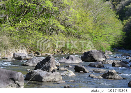 那珂川の風景【栃木県那須塩原市】 那珂川の風景【栃木県那須塩原市】 101743863