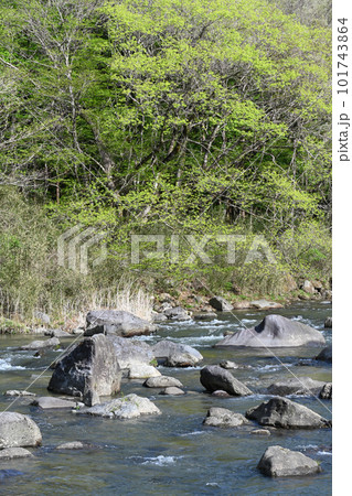 那珂川の風景【栃木県那須塩原市】 101743864