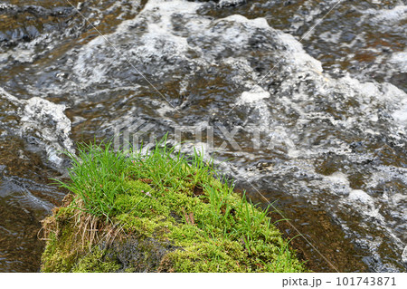 沢名川の風景【栃木県那須塩原市】 101743871