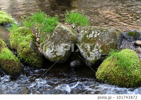 沢名川の風景【栃木県那須塩原市】 沢名川の風景【栃木県那須塩原市】 101743872