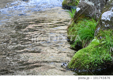 沢名川の風景【栃木県那須塩原市】 101743876