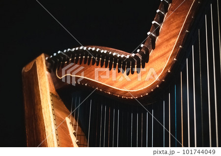 Close-up of detail of a Celtic natural wood finish harp neck and bridge with tuning pins and strings Close-up of detail of a Celtic natural wood finish harp neck and bridge with tuning pins and strings 101744049